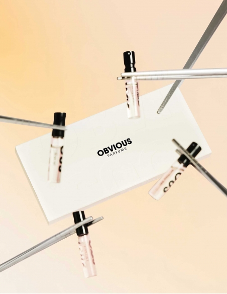 Discovery Set Obvious