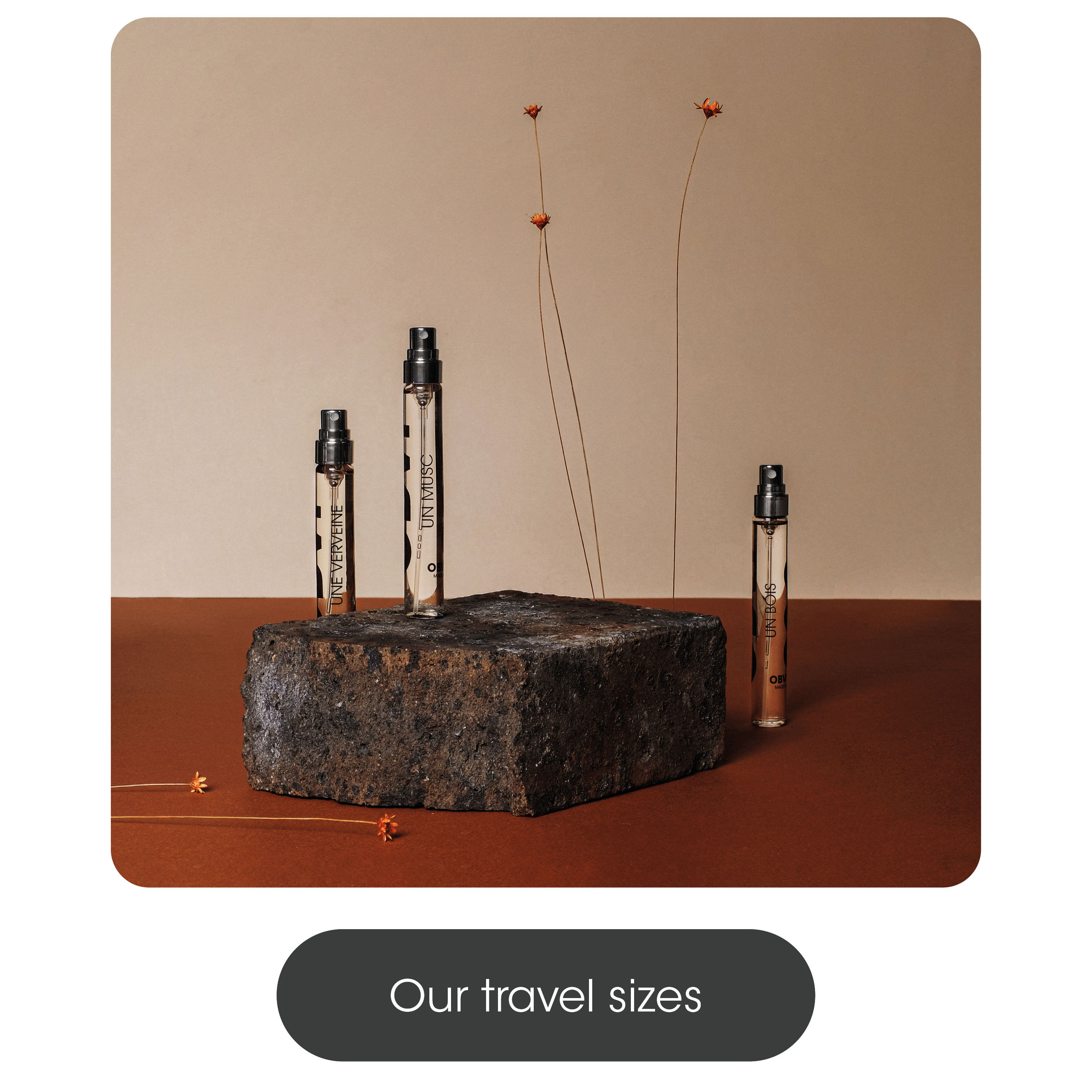 catégorie formats voyage